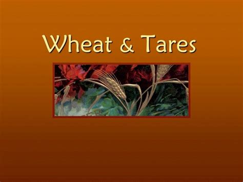 Introduction to Tares.